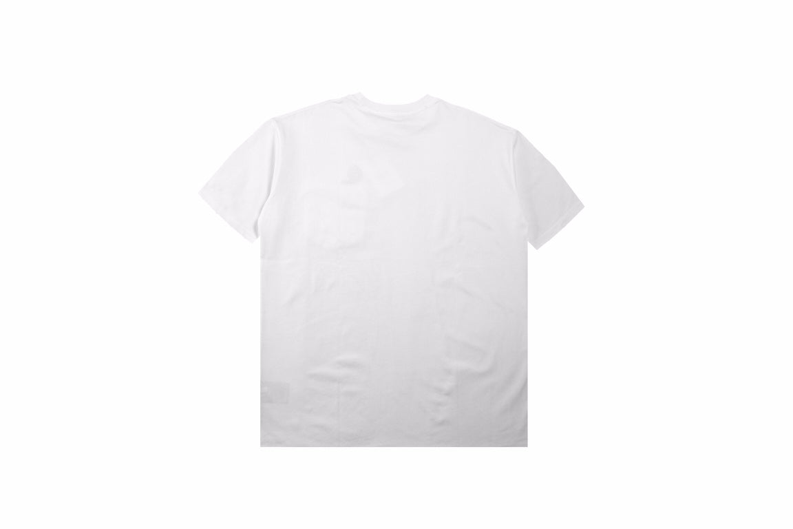 Dior Embroidered Lizard T-Shirt - White