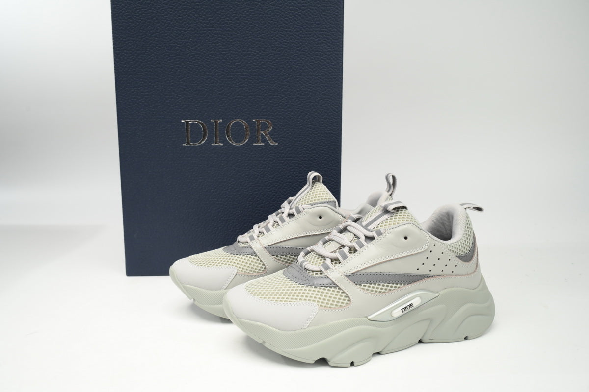 DIOR B22 GREY