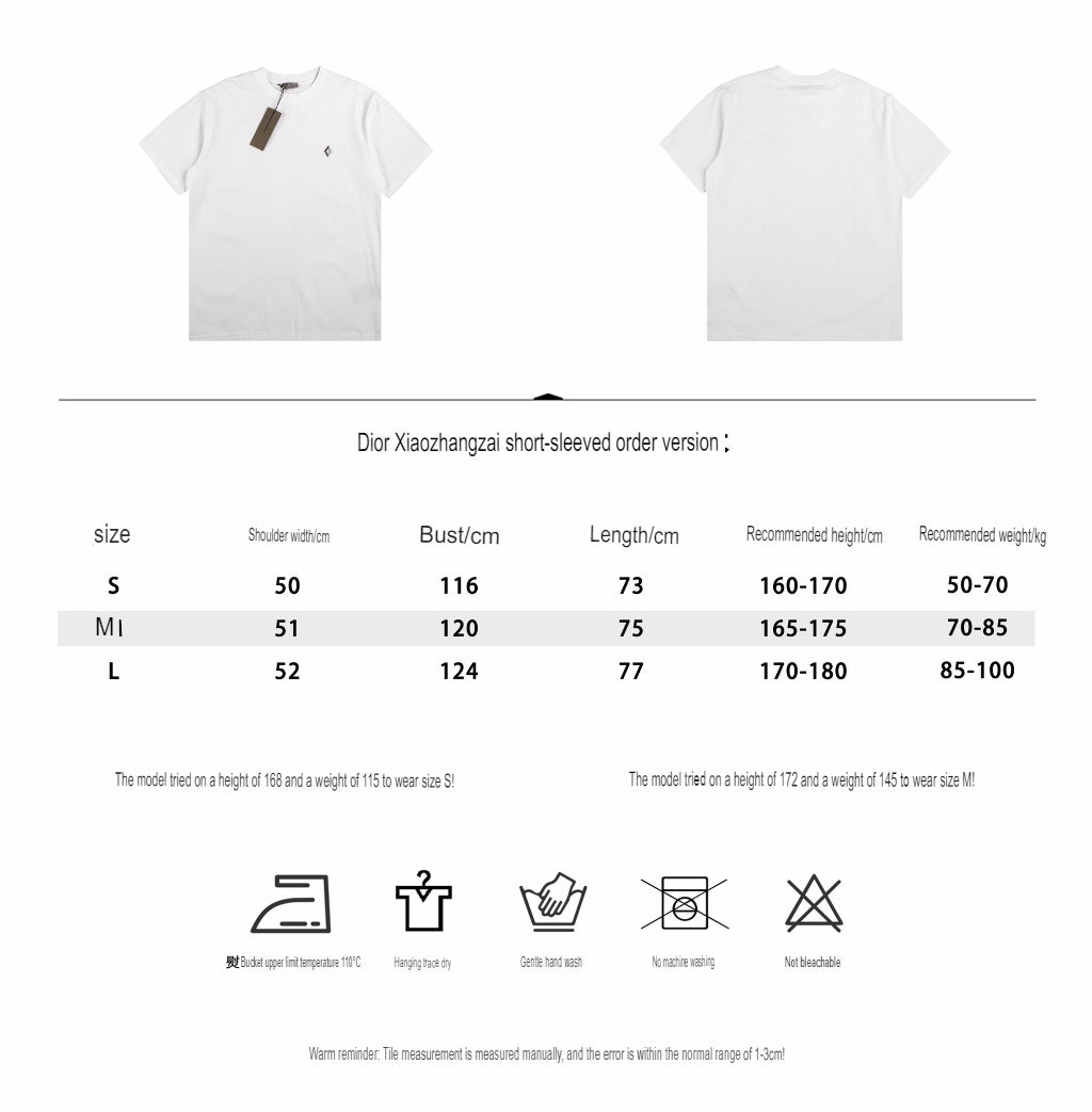 Dior T-shirt with Minimalist Logo (White)